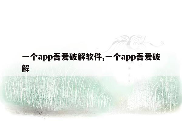 一个app吾爱破解软件,一个app吾爱破解