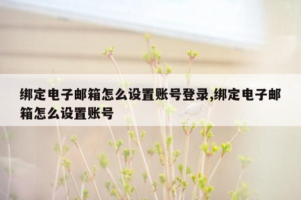 绑定电子邮箱怎么设置账号登录,绑定电子邮箱怎么设置账号