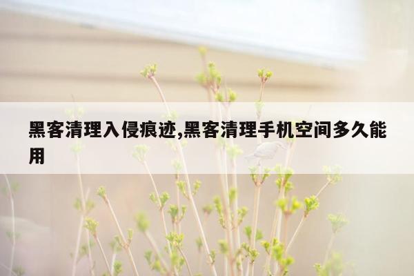 黑客清理入侵痕迹,黑客清理手机空间多久能用