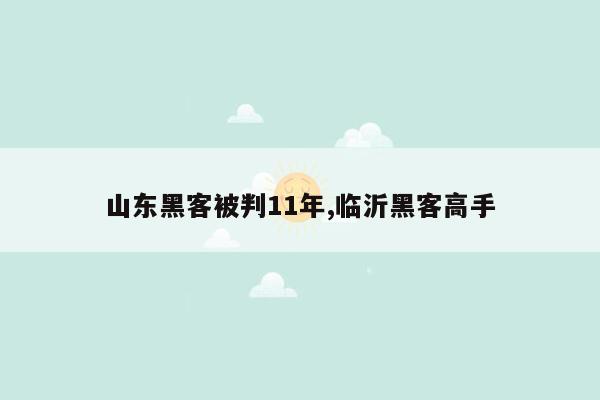 山东黑客被判11年,临沂黑客高手