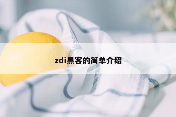 zdi黑客的简单介绍