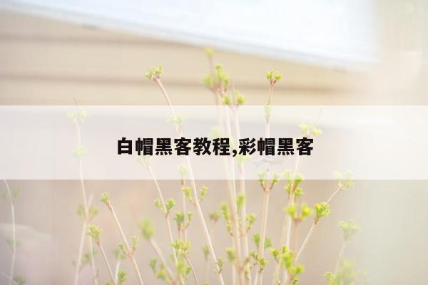 白帽黑客教程,彩帽黑客