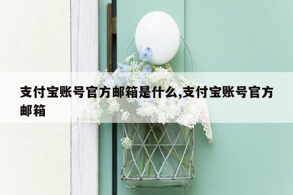 支付宝账号官方邮箱是什么,支付宝账号官方邮箱