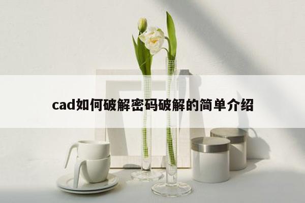 cad如何破解密码破解的简单介绍