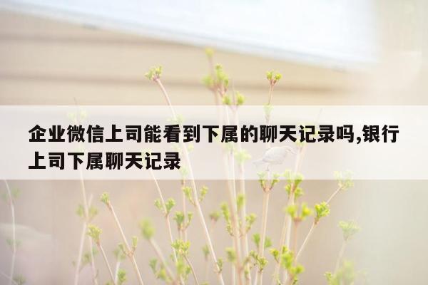 企业微信上司能看到下属的聊天记录吗,银行上司下属聊天记录