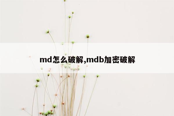 md怎么破解,mdb加密破解