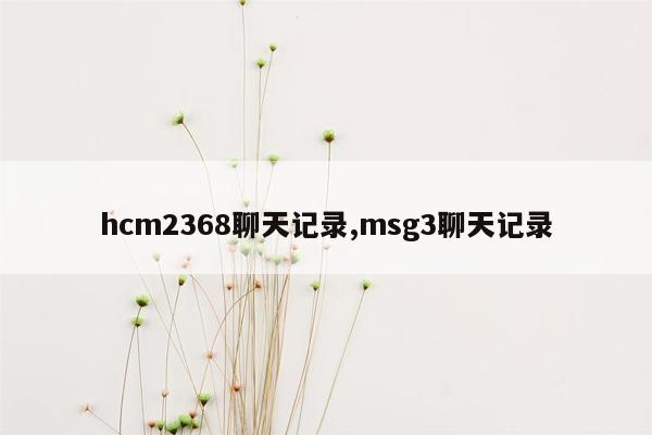 hcm2368聊天记录,msg3聊天记录