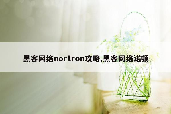 黑客网络nortron攻略,黑客网络诺顿