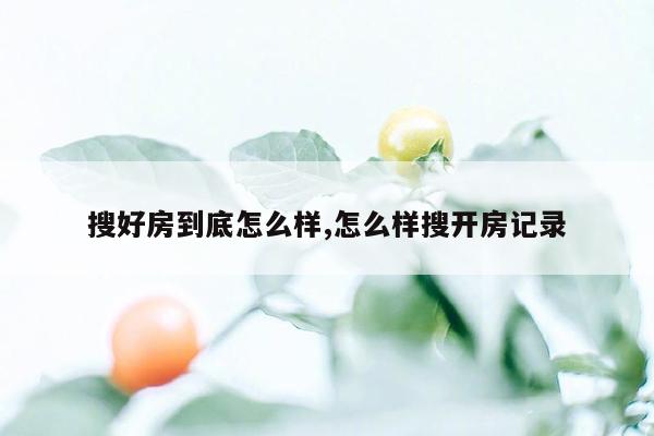 搜好房到底怎么样,怎么样搜开房记录