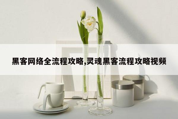 黑客网络全流程攻略,灵魂黑客流程攻略视频