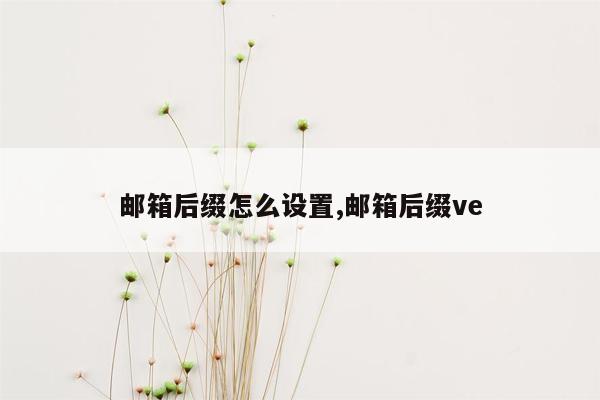 邮箱后缀怎么设置,邮箱后缀ve