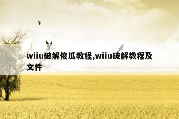 wiiu破解傻瓜教程,wiiu破解教程及文件