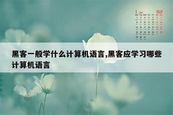 黑客一般学什么计算机语言,黑客应学习哪些计算机语言