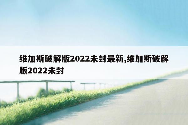 维加斯破解版2022未封最新,维加斯破解版2022未封