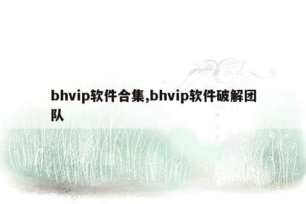 bhvip软件合集,bhvip软件破解团队