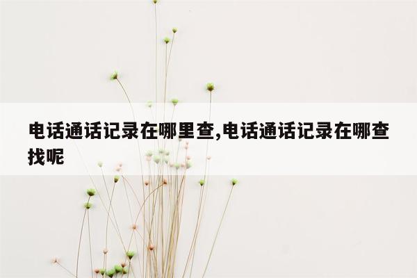 电话通话记录在哪里查,电话通话记录在哪查找呢