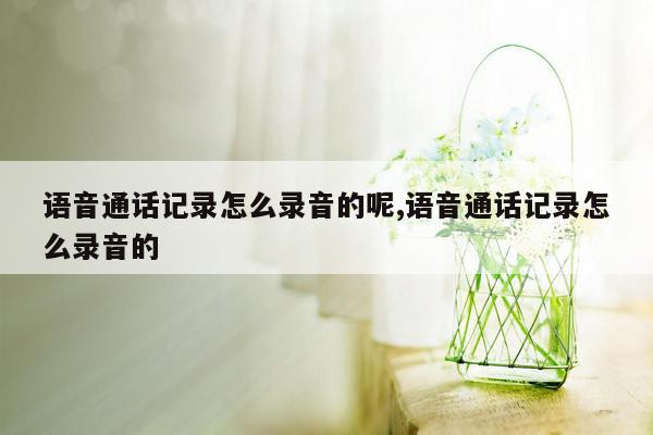 语音通话记录怎么录音的呢,语音通话记录怎么录音的