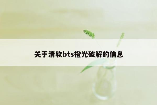 关于清软bts橙光破解的信息