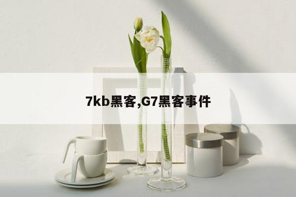 7kb黑客,G7黑客事件