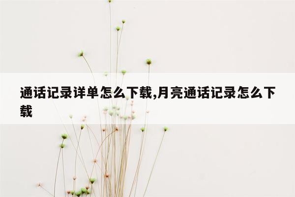 通话记录详单怎么下载,月亮通话记录怎么下载