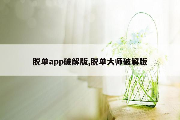 脱单app破解版,脱单大师破解版