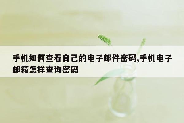 手机如何查看自己的电子邮件密码,手机电子邮箱怎样查询密码