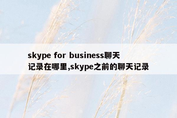 skype for business聊天记录在哪里,skype之前的聊天记录