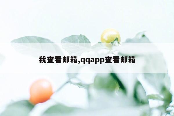 我查看邮箱,qqapp查看邮箱