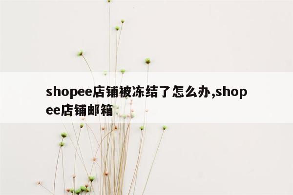 shopee店铺被冻结了怎么办,shopee店铺邮箱