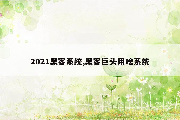 2021黑客系统,黑客巨头用啥系统