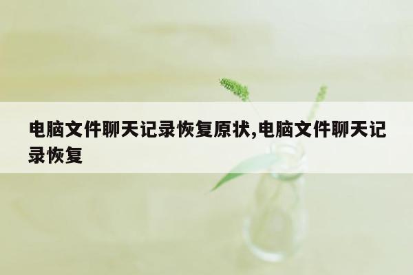 电脑文件聊天记录恢复原状,电脑文件聊天记录恢复