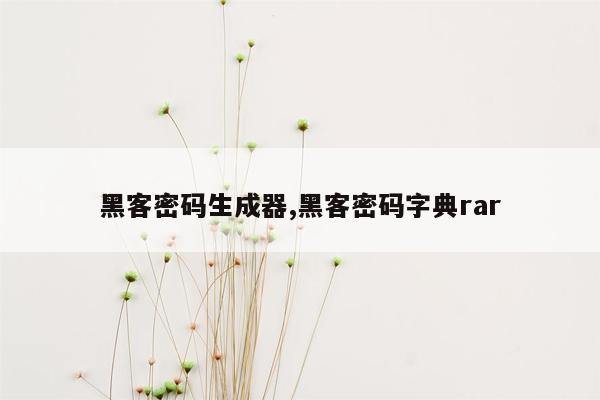 黑客密码生成器,黑客密码字典rar