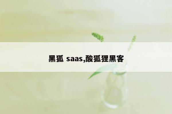 黑狐 saas,酸狐狸黑客