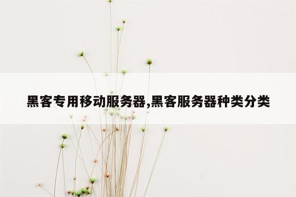 黑客专用移动服务器,黑客服务器种类分类