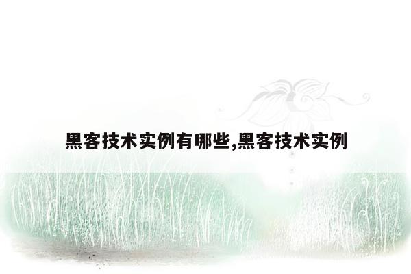 黑客技术实例有哪些,黑客技术实例