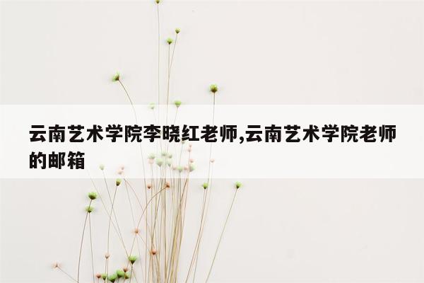 云南艺术学院李晓红老师,云南艺术学院老师的邮箱