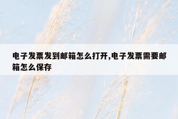 电子发票发到邮箱怎么打开,电子发票需要邮箱怎么保存