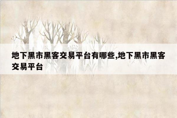 地下黑市黑客交易平台有哪些,地下黑市黑客交易平台