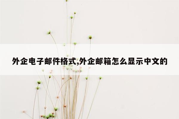 外企电子邮件格式,外企邮箱怎么显示中文的