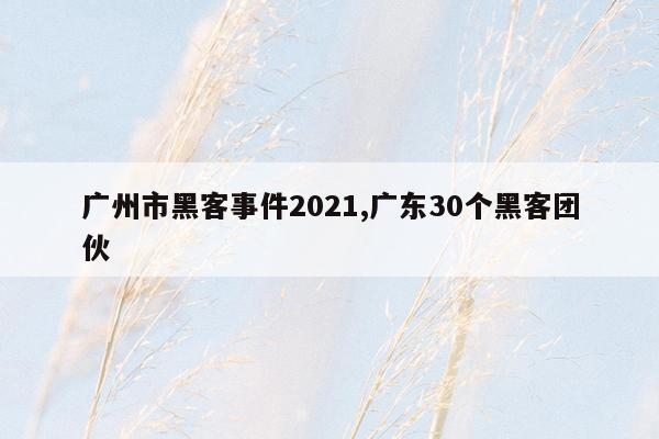 广州市黑客事件2021,广东30个黑客团伙