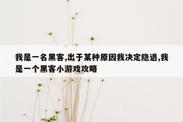 我是一名黑客,出于某种原因我决定隐退,我是一个黑客小游戏攻略