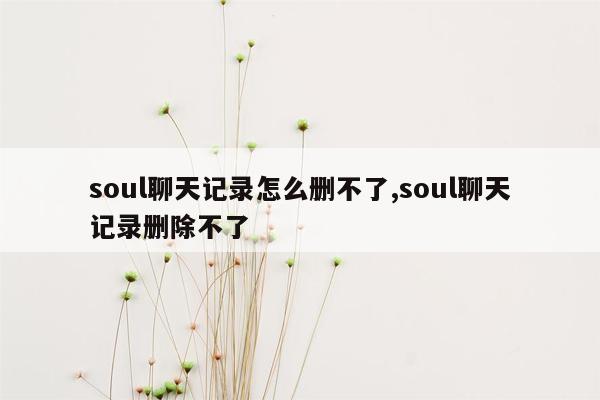 soul聊天记录怎么删不了,soul聊天记录删除不了