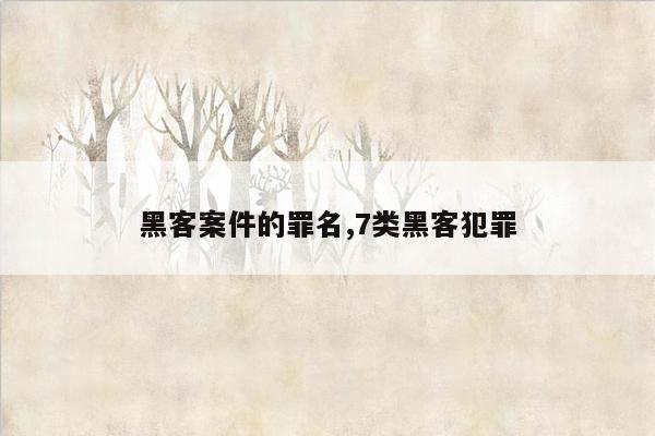 黑客案件的罪名,7类黑客犯罪