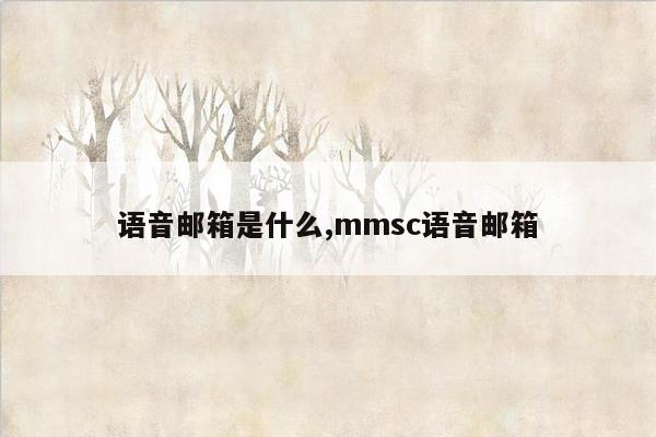 语音邮箱是什么,mmsc语音邮箱