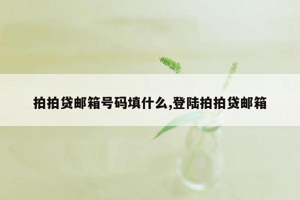 拍拍贷邮箱号码填什么,登陆拍拍贷邮箱