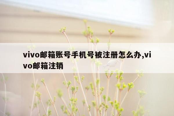 vivo邮箱账号手机号被注册怎么办,vivo邮箱注销