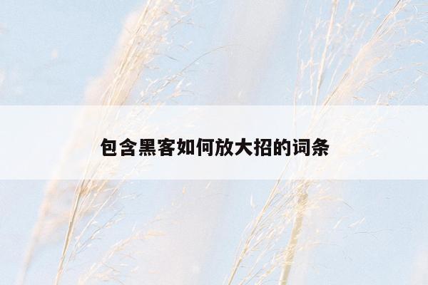 包含黑客如何放大招的词条