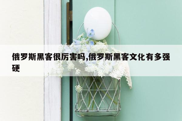 俄罗斯黑客很厉害吗,俄罗斯黑客文化有多强硬