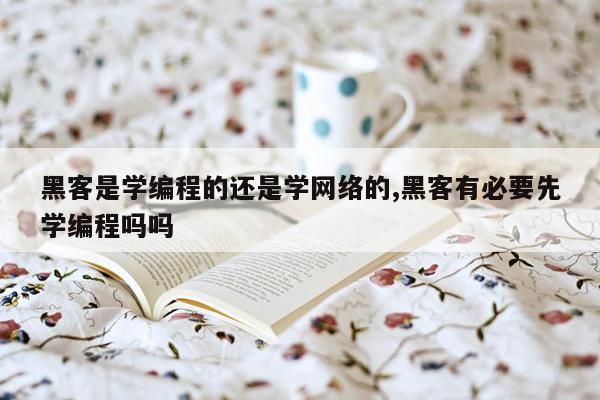 黑客是学编程的还是学网络的,黑客有必要先学编程吗吗