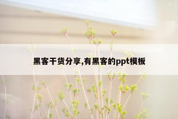 黑客干货分享,有黑客的ppt模板